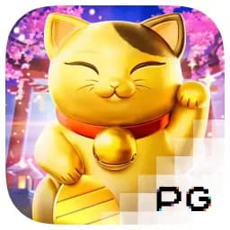 qiqibudy: Lucky Neko
