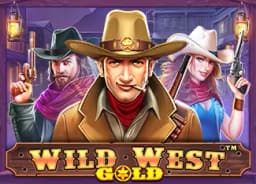 qiqibudy: Wild West Gold